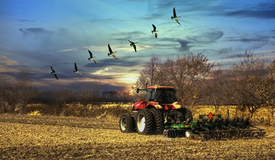 Agrifondo 2